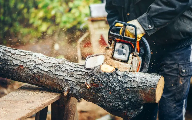 Chainsaw Won't Start? Here Are 11 Simple Tips To Fix It - Hardware ...